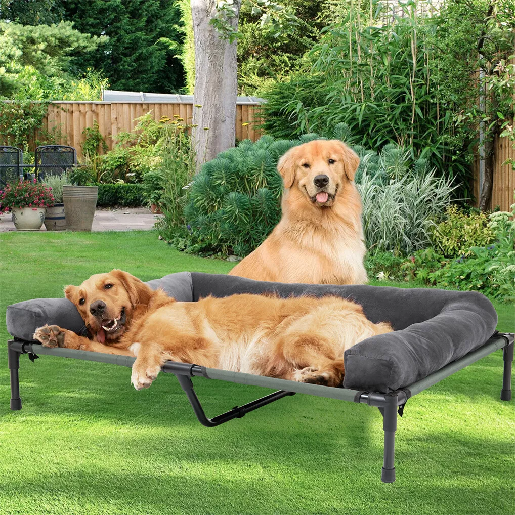 Bed Outdoor Camping - BINGOPAW Erhöhtes Hundebett, Netz-Haustierbett mit abnehmbarem