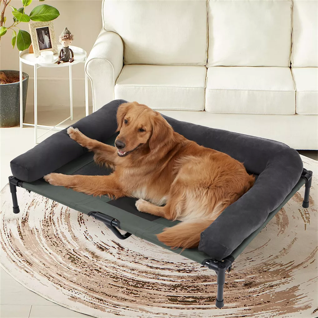 BINGOPAW Erhöhtes Hundebett, N – Bed Outdoor Camping Bewertung und Preis