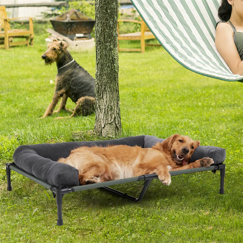 BINGOPAW Erhöhtes Hundebett, N – Bed Outdoor Camping Bewertung und Preis