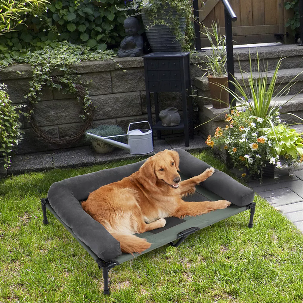 BINGOPAW Erhöhtes Hundebett, N – Bed Outdoor Camping Bewertung und Preis