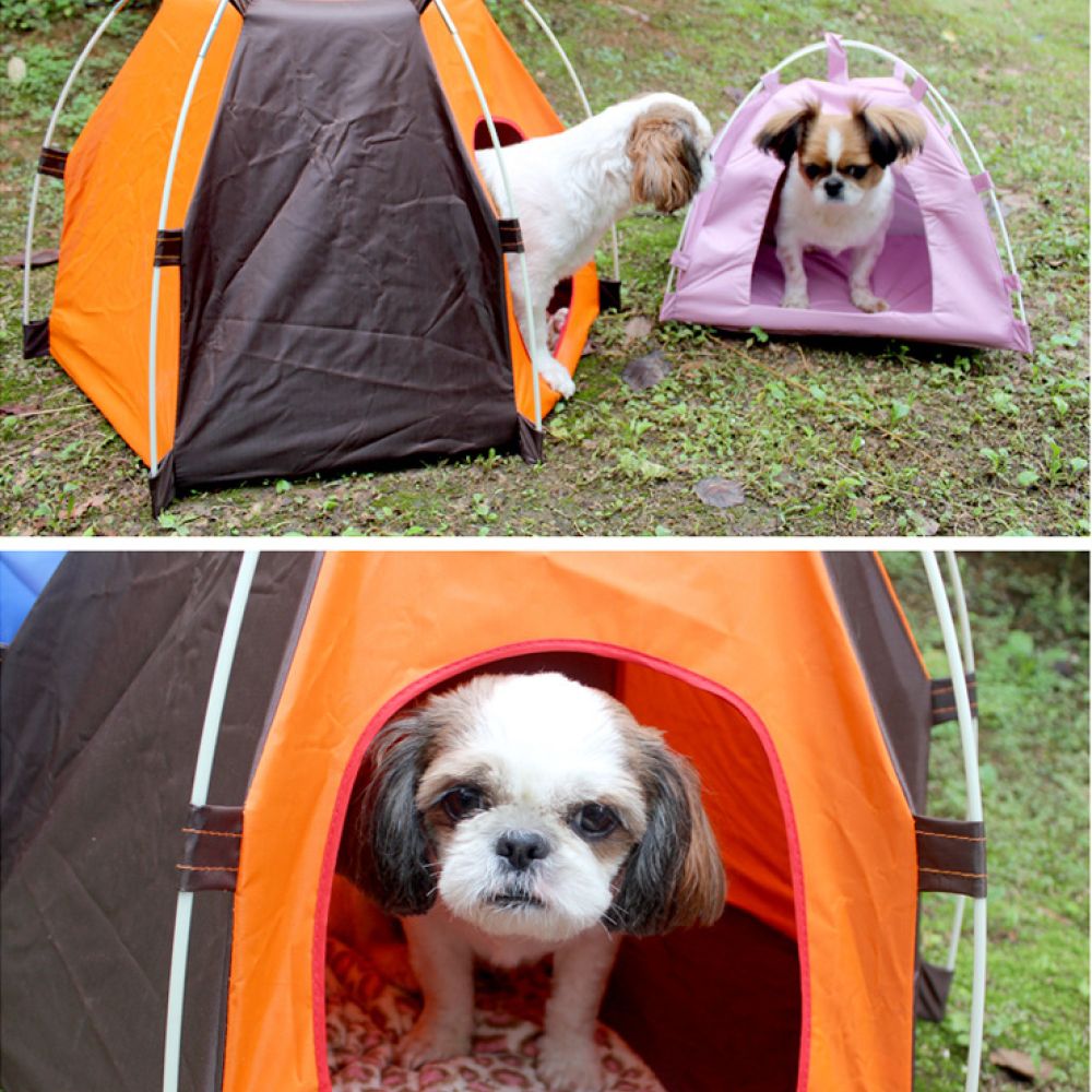 Tragbares Hundezelt, Outdoor-S – Outdoor Camping Dog Bed Bewertung und Preis